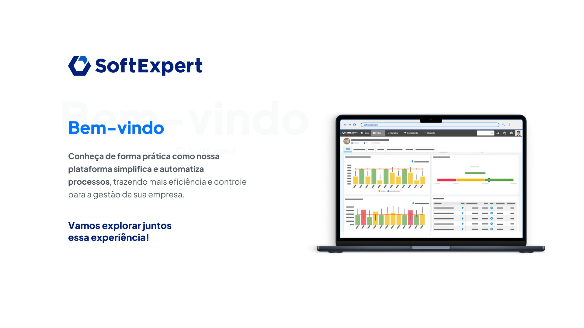 Bem-vindo ao SoftExpert BPM